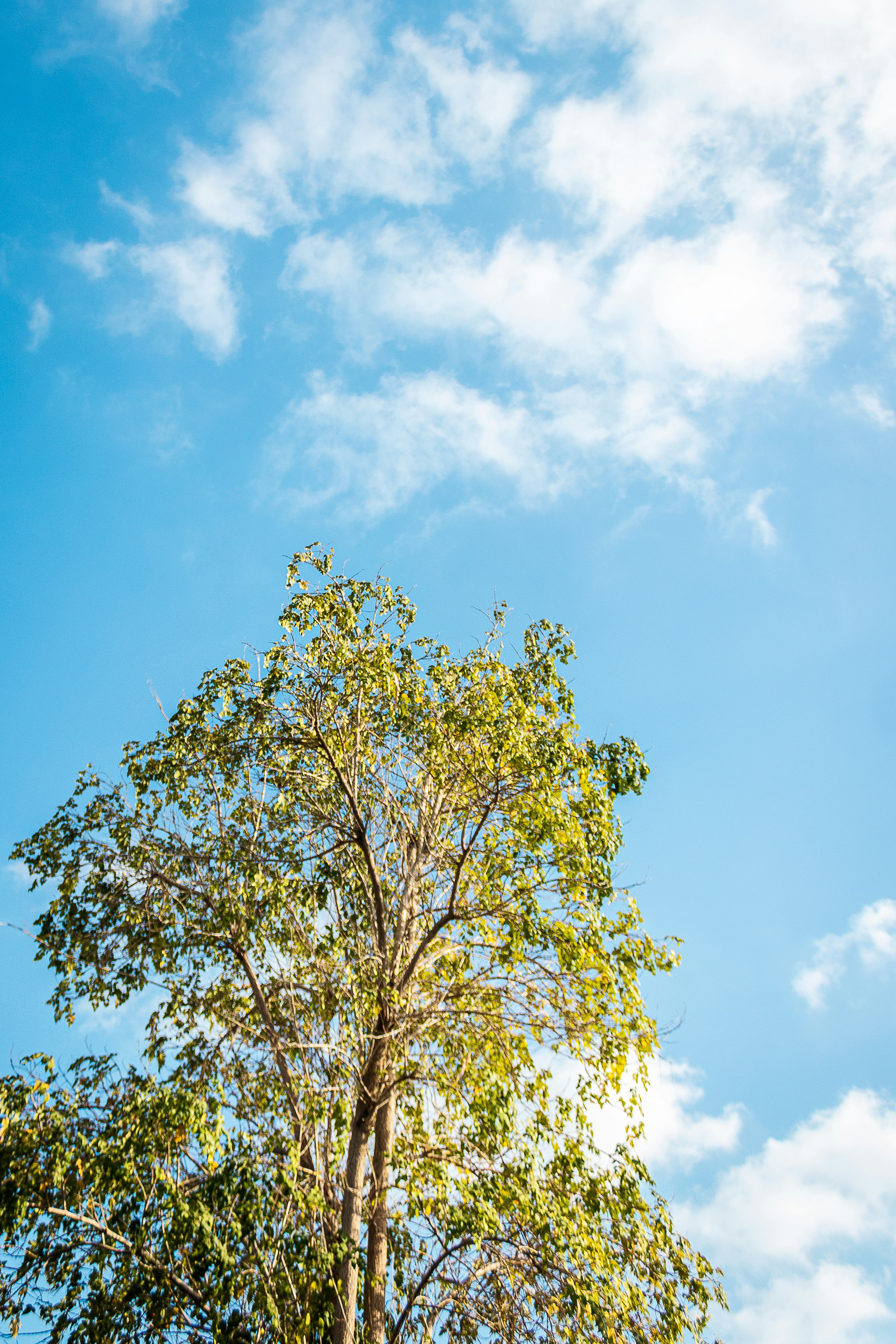 Photo by malikshibly