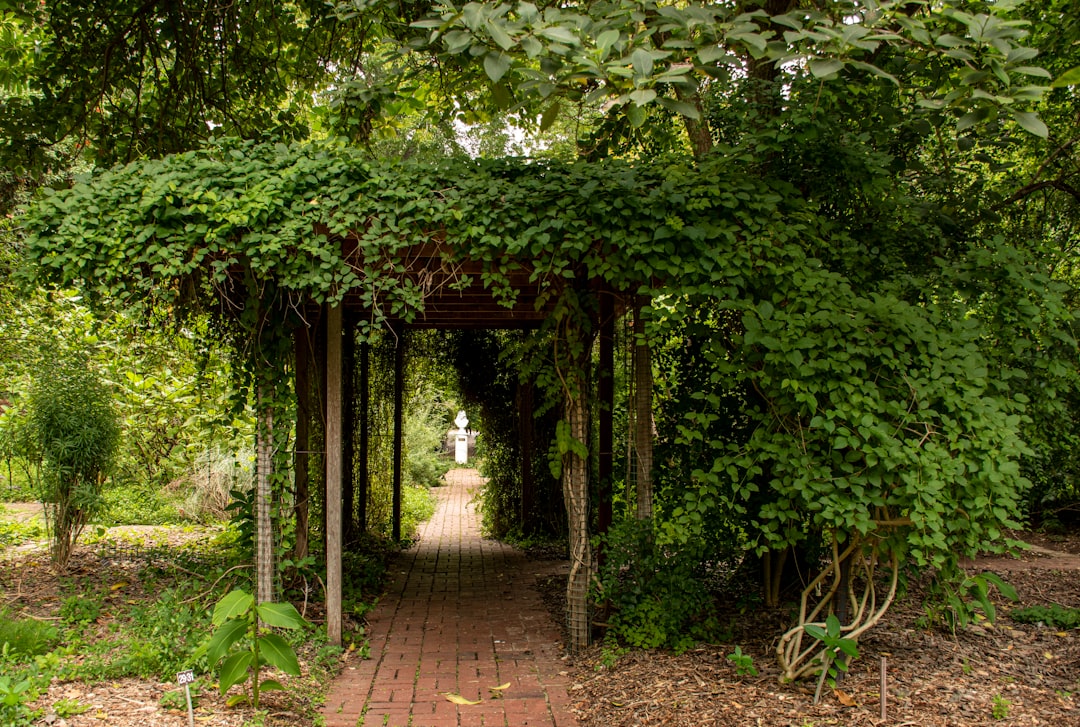 Forest photo spot Adelaide CBD Mount Crawford