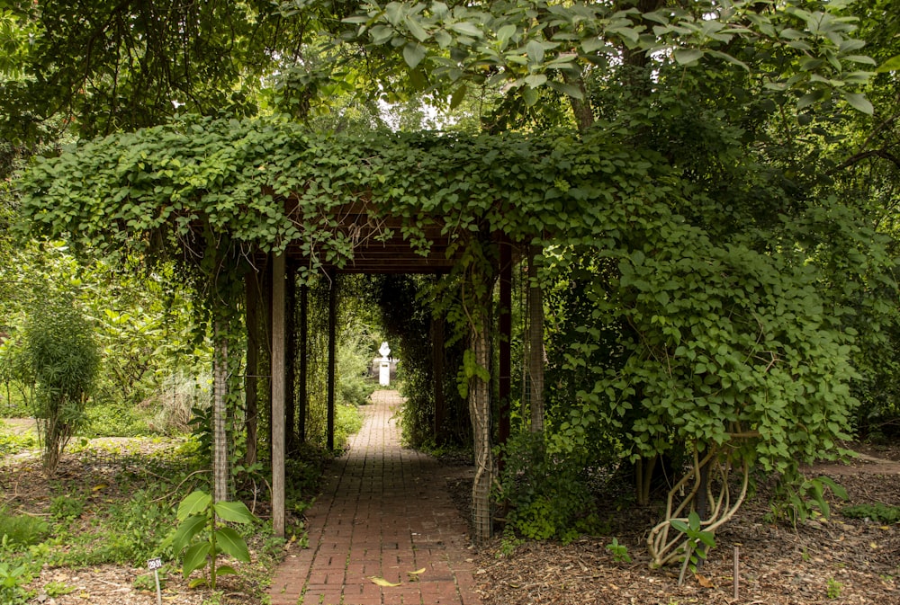 brown wooden gate surrounded by green plants