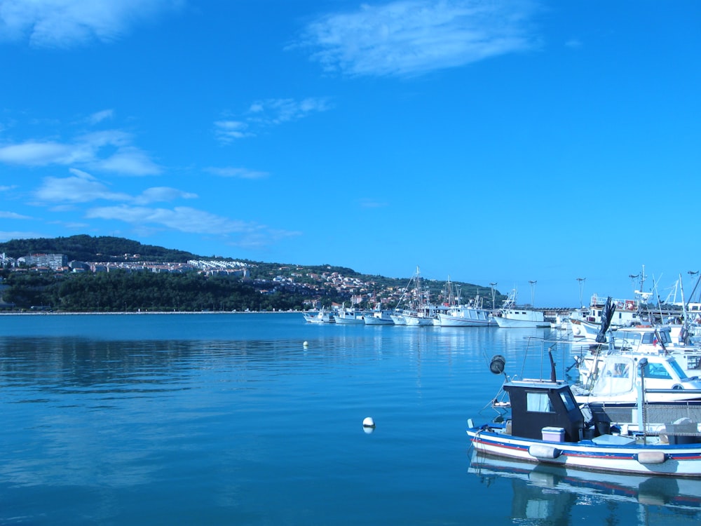 white and blue boat on sea during daytime