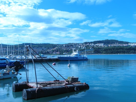 white and black boat on sea during daytime in Koper Slovenia