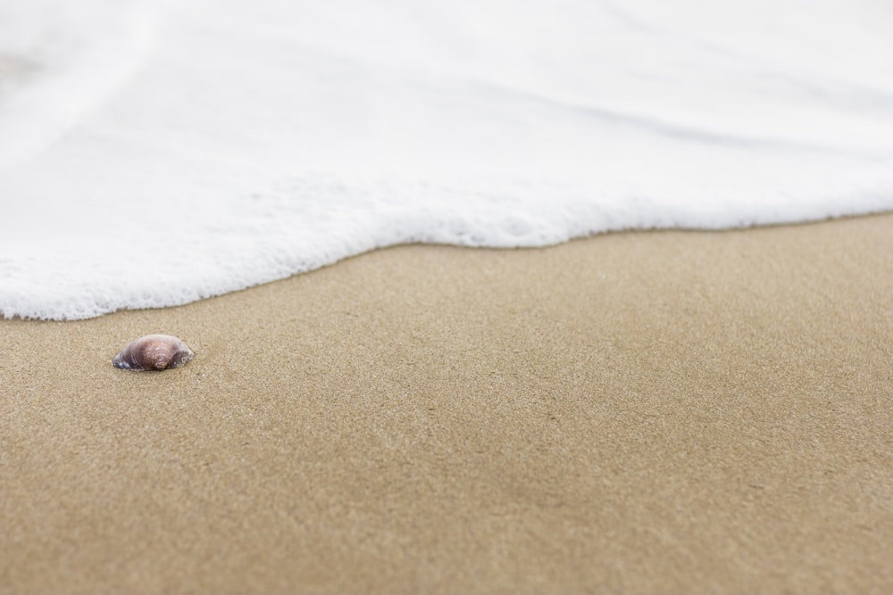 persons foot on brown sand near body of water during daytime