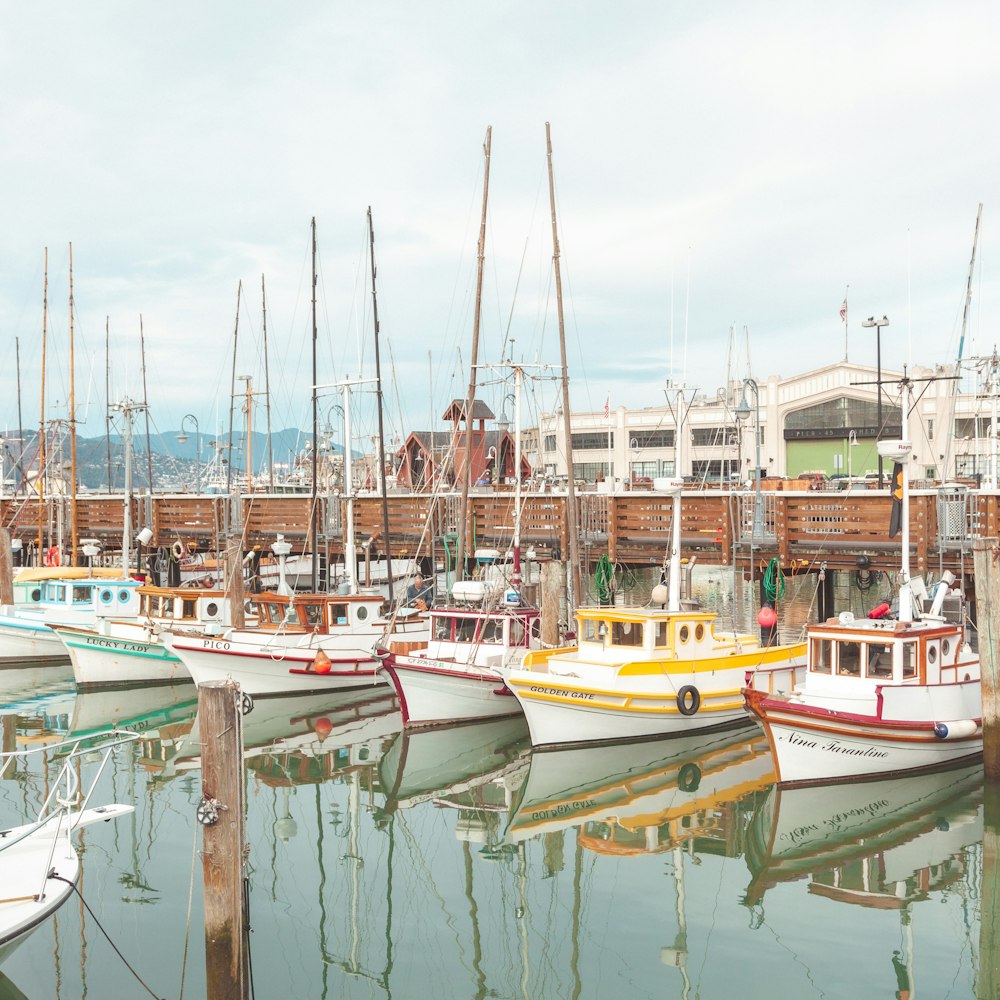 white and blue boat on dock during daytime