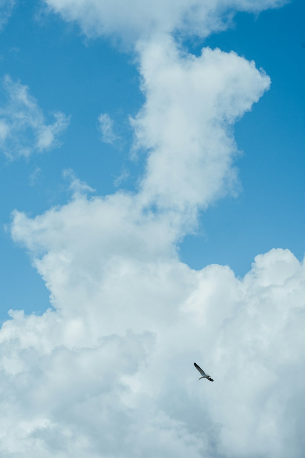 昼間の白い雲と青い空