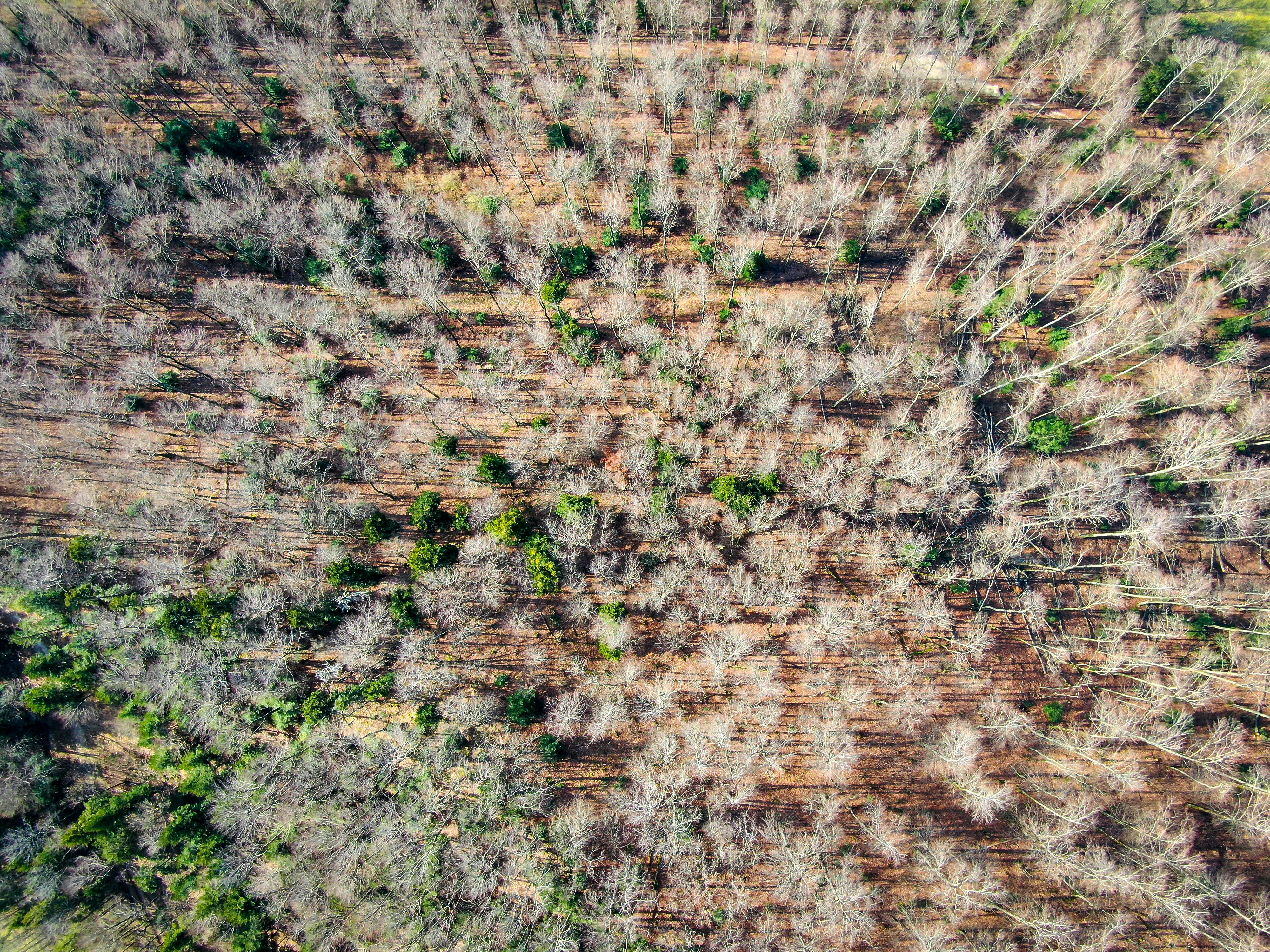 Photo by nathan030997