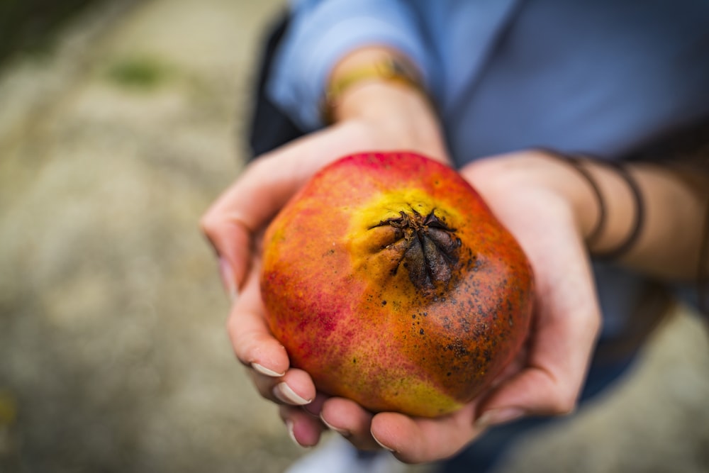 person holding red and yellow apple