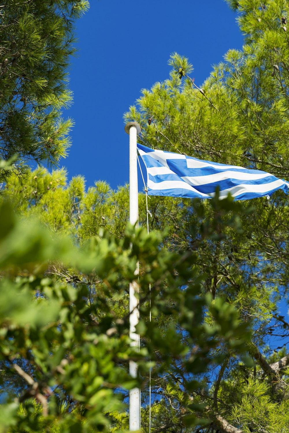 blue and white flag on pole during daytime