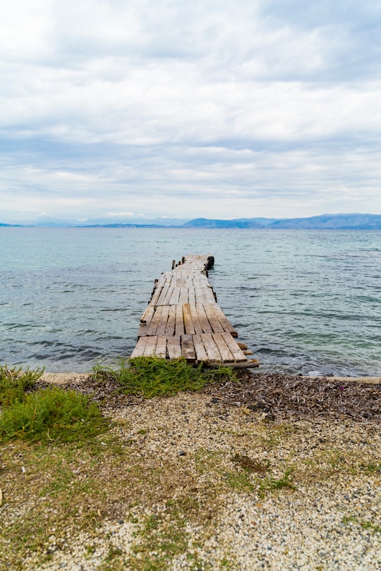 brown wooden bench on green grass near body of water during daytime in Corfu Greece