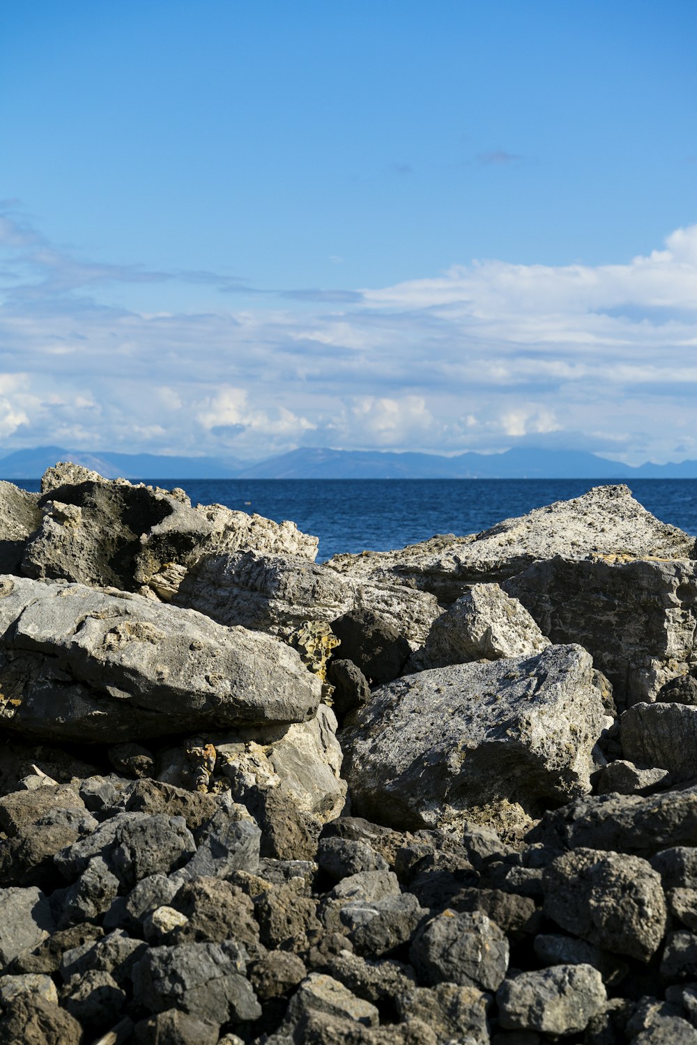 gray and black rocky shore under blue sky during daytime