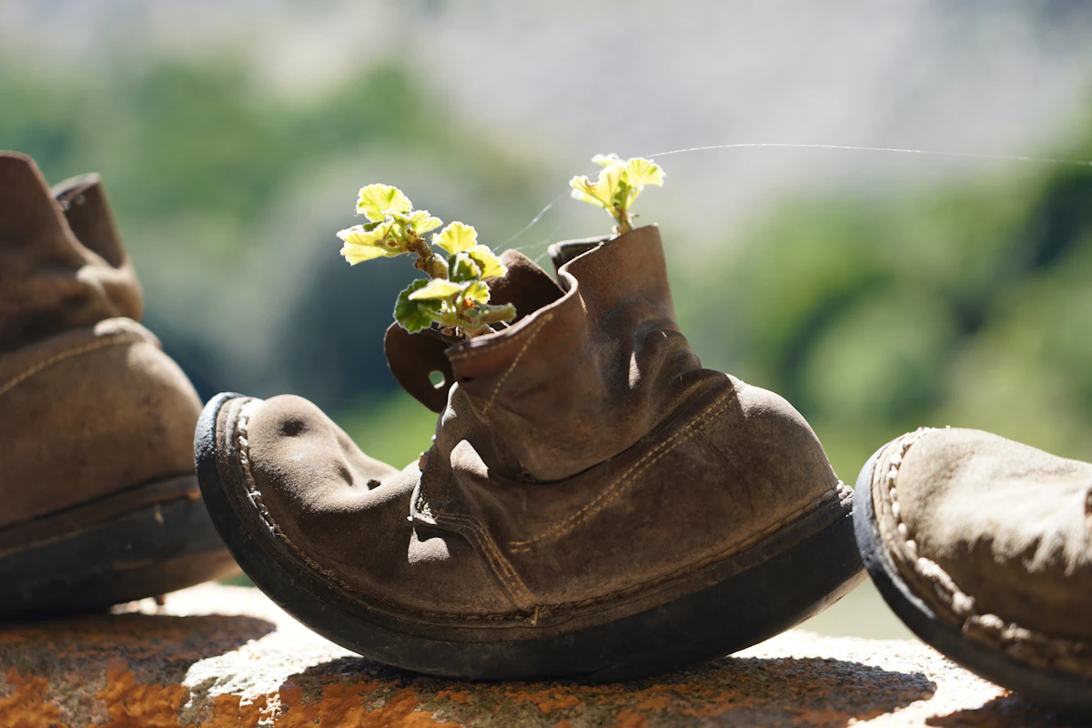 Building Native Images with Spring Boot and GraalVM: A Complete Guide