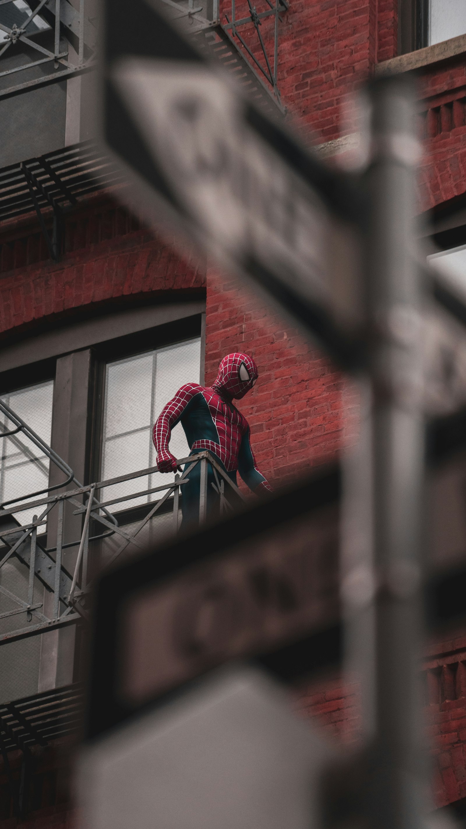 Sony a7 + Sony FE 70-200mm F4 G OSS sample photo. Man in red and photography