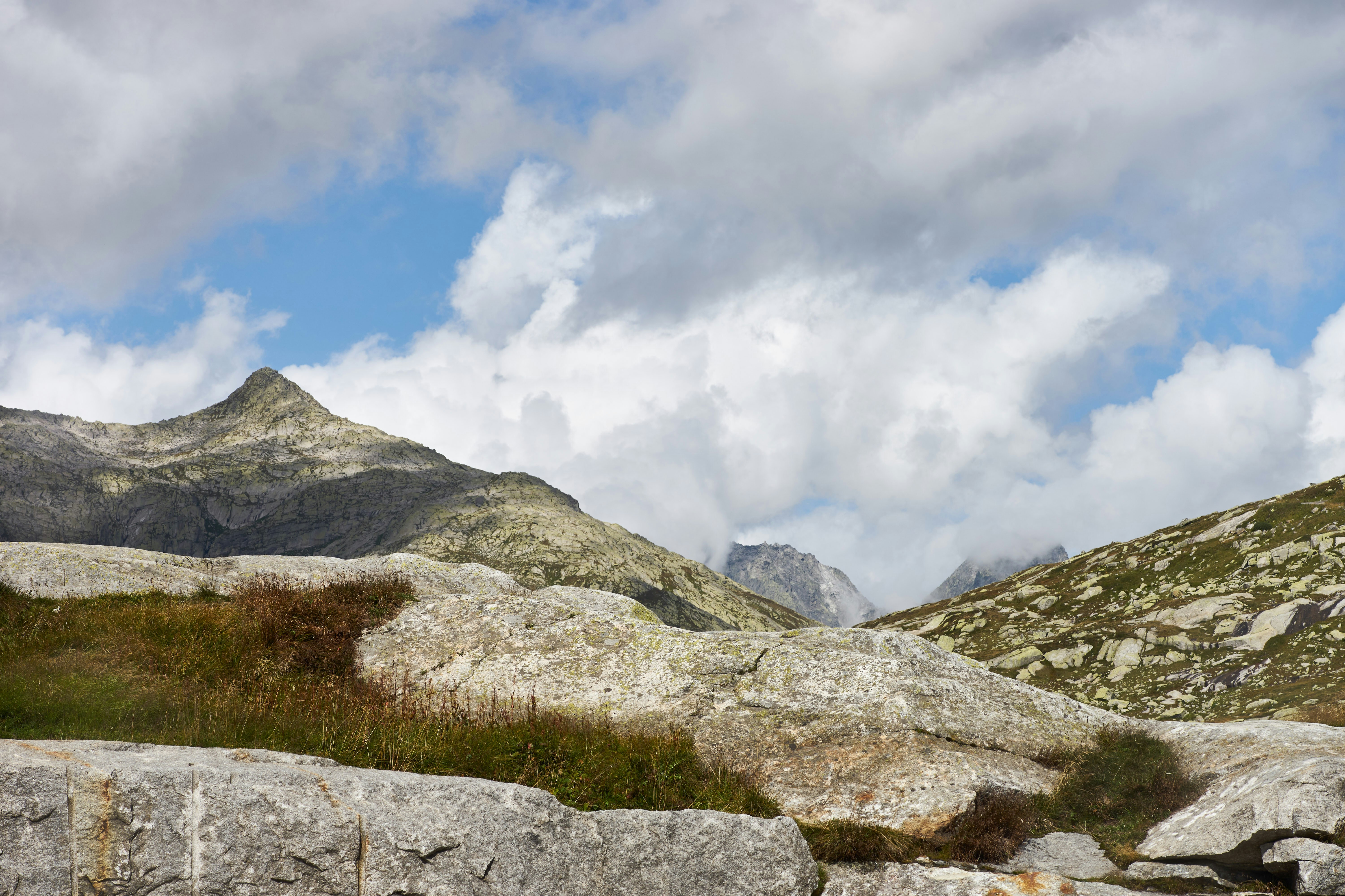 Photo by wolfgang_hasselmann