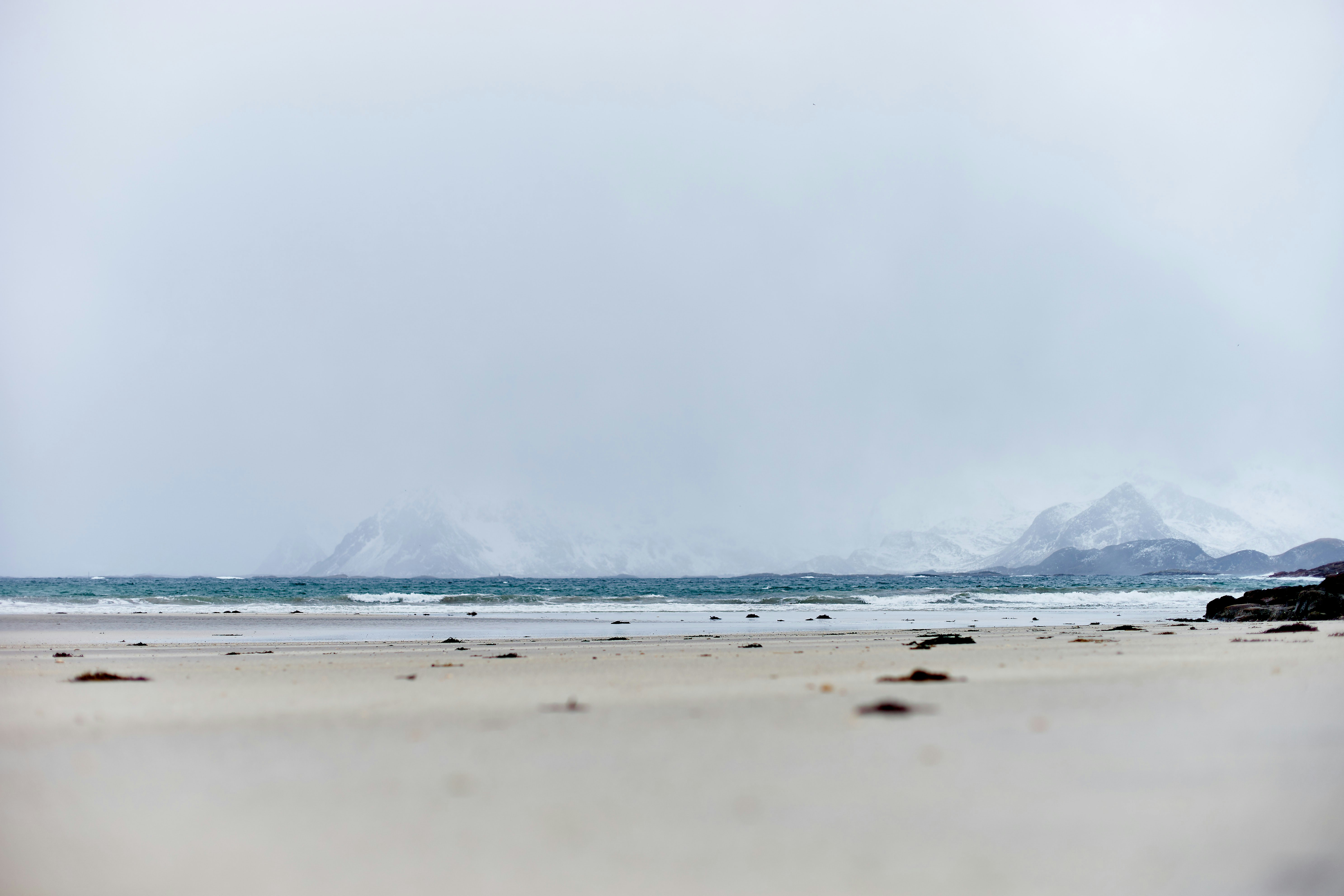 Photo by wolfgang_hasselmann