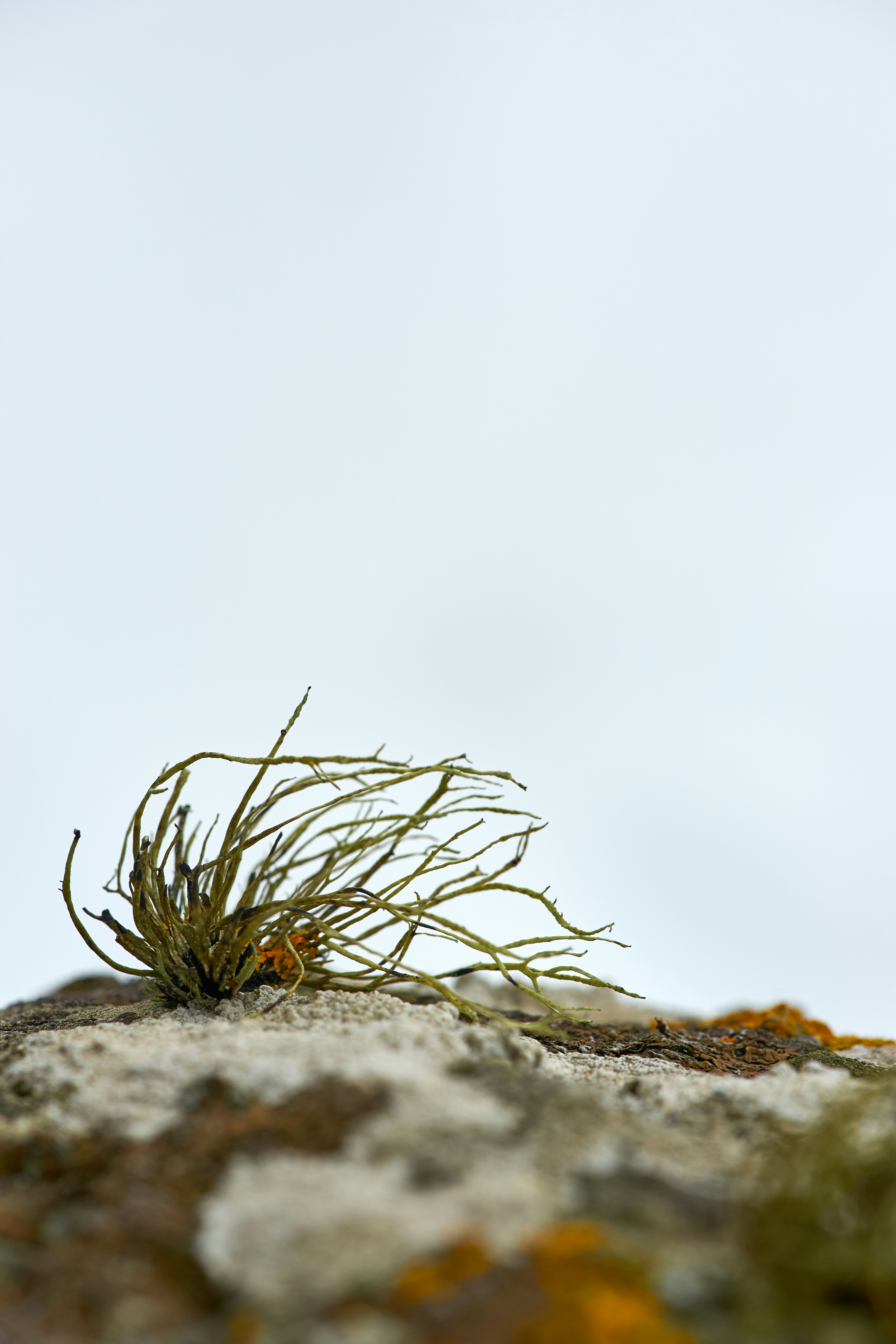 Photo by wolfgang_hasselmann