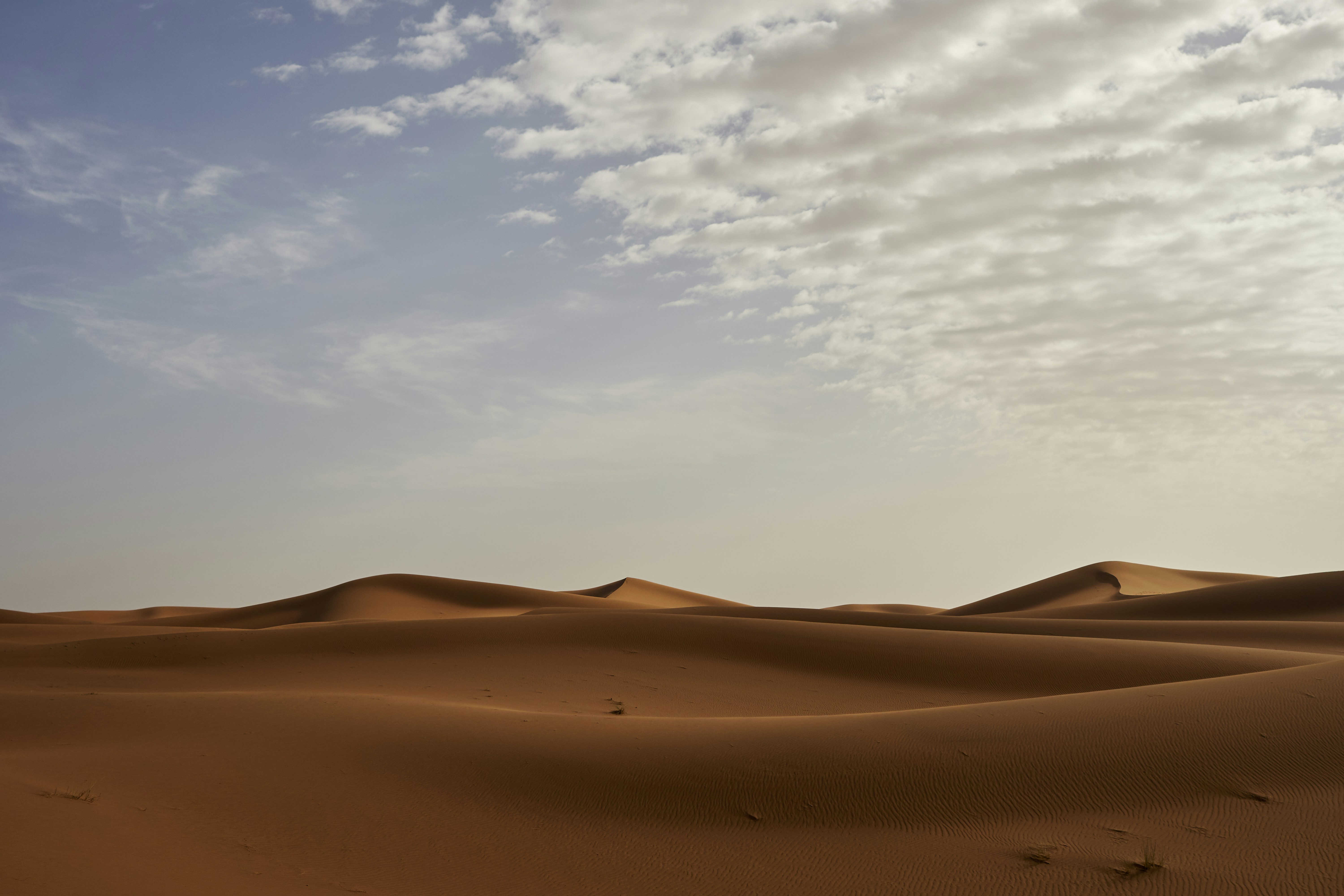 Photo by wolfgang_hasselmann