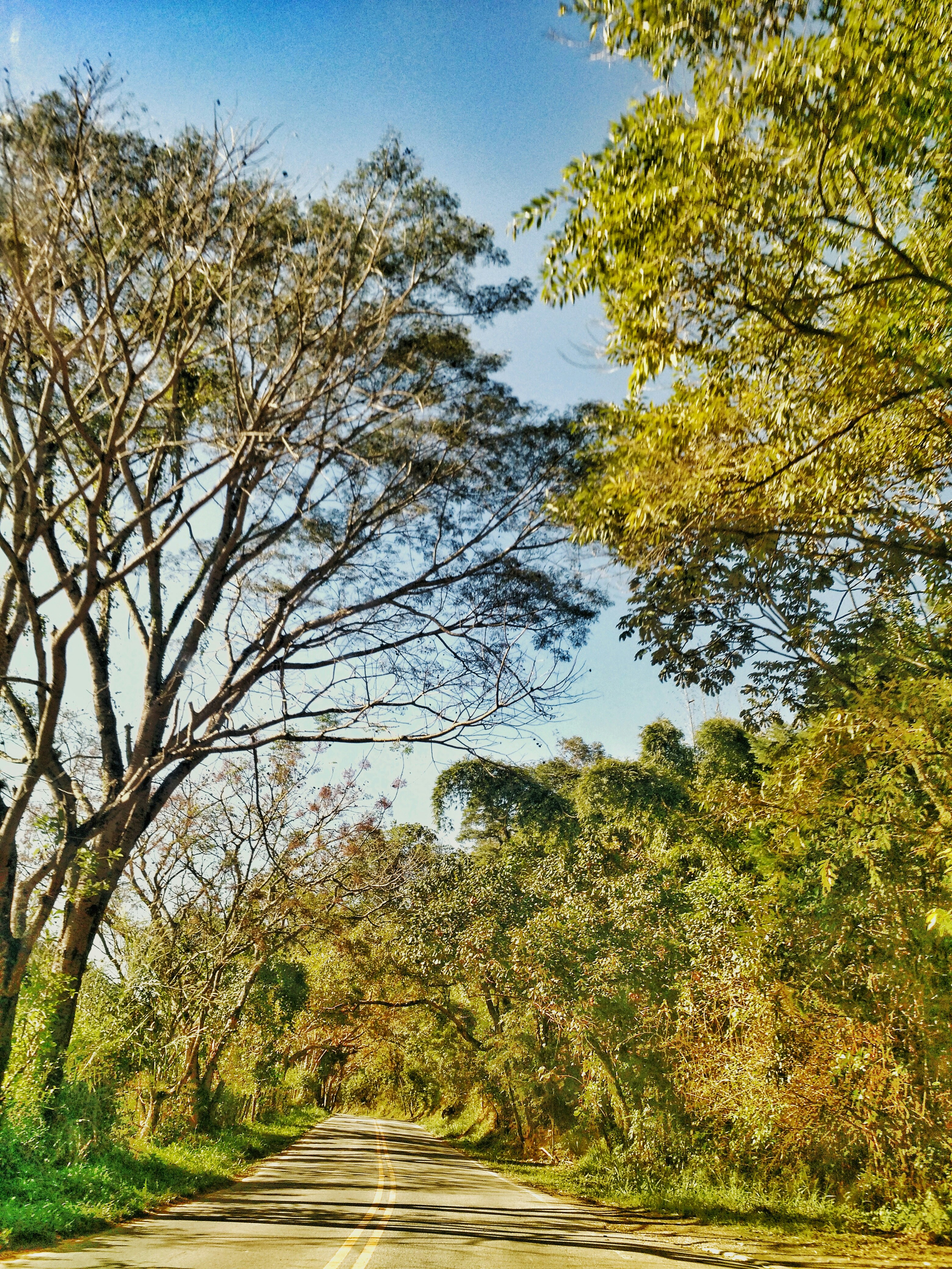 Photo by jussararomao