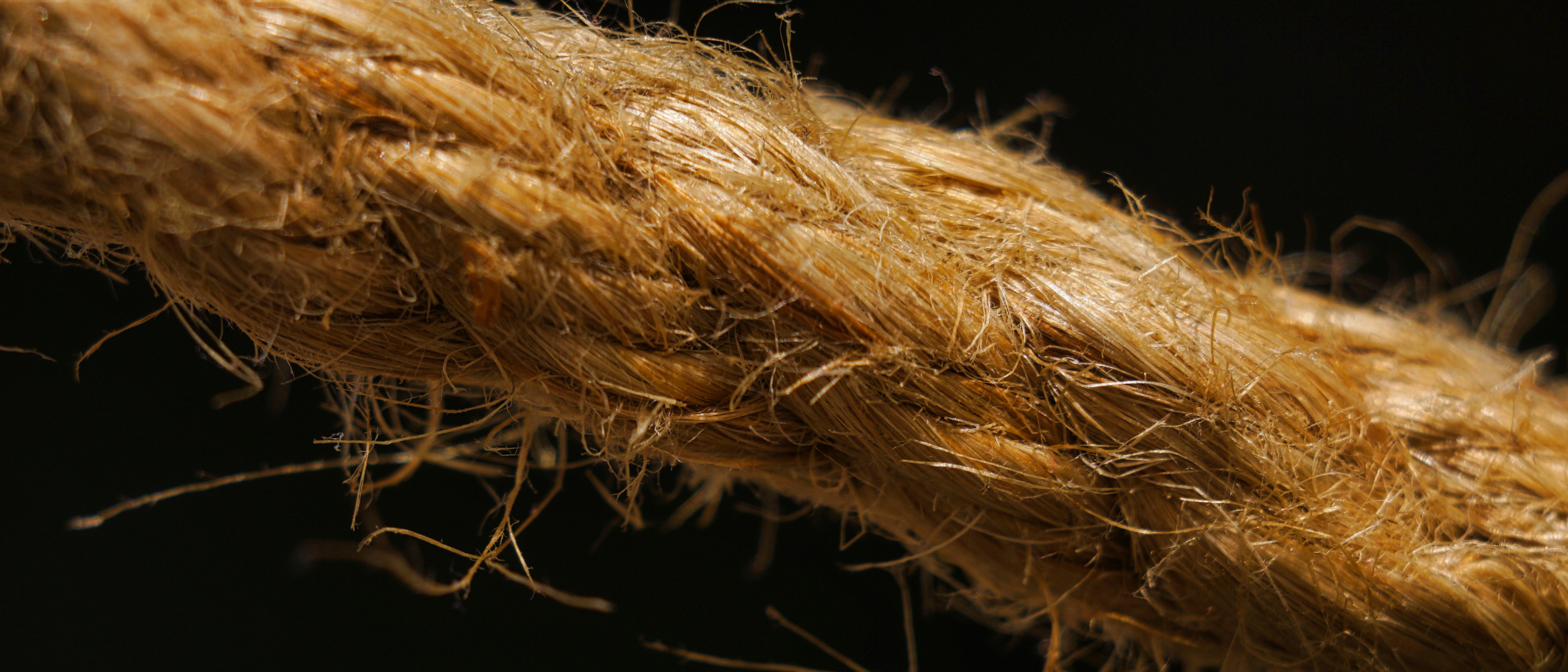 brown and black hair on black textile