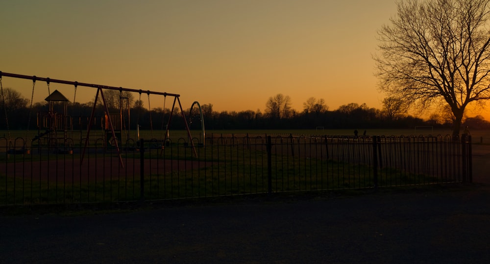 silhouette of trees during sunset