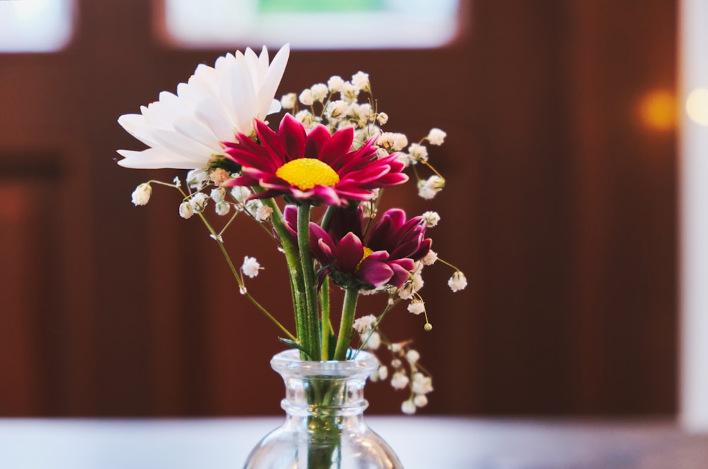 white and yellow flowers in clear glass vase