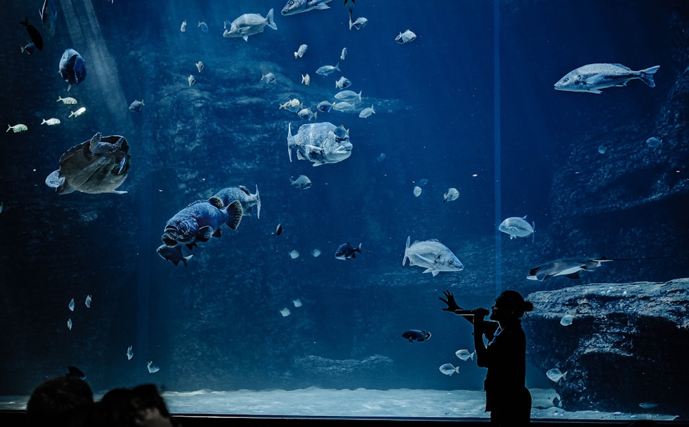 person in black jacket and pants standing in front of fish tank