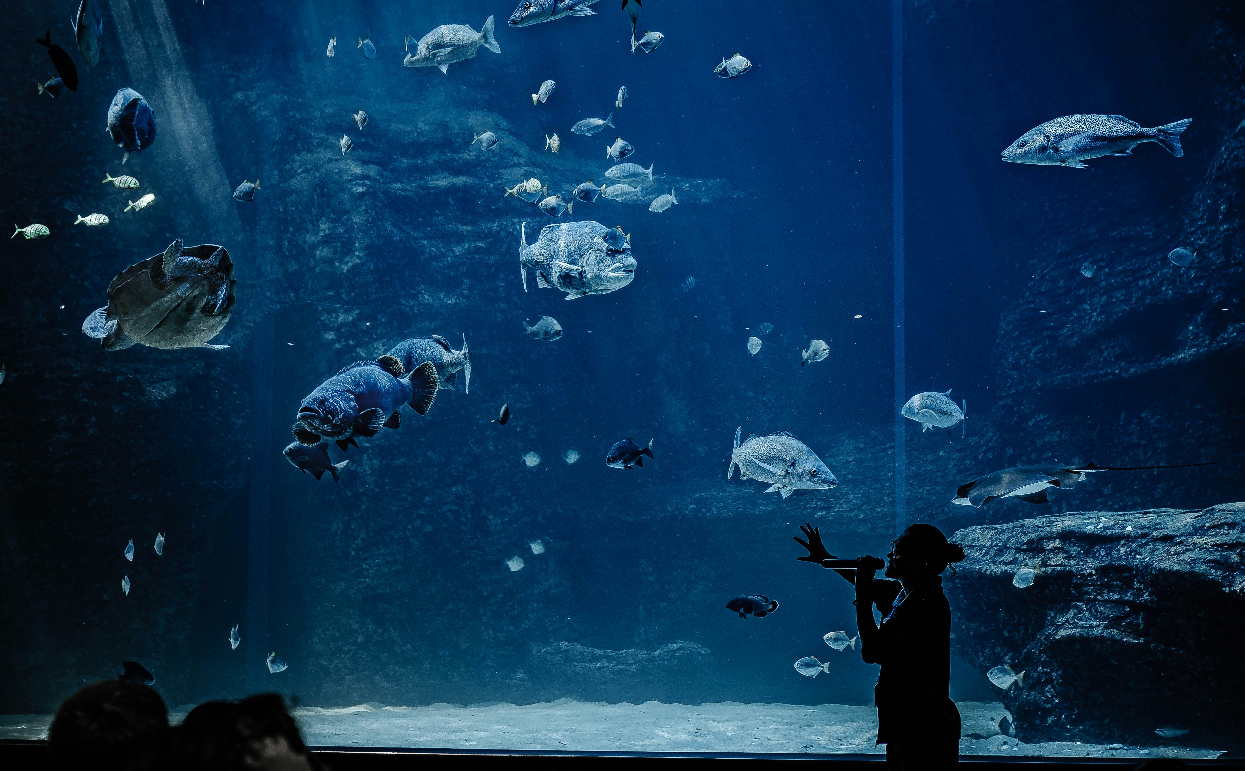 person in black jacket and pants standing in front of fish tank