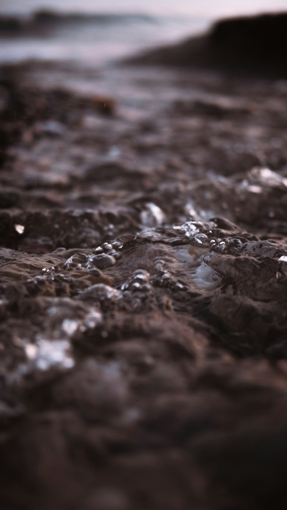 water droplets on brown soil