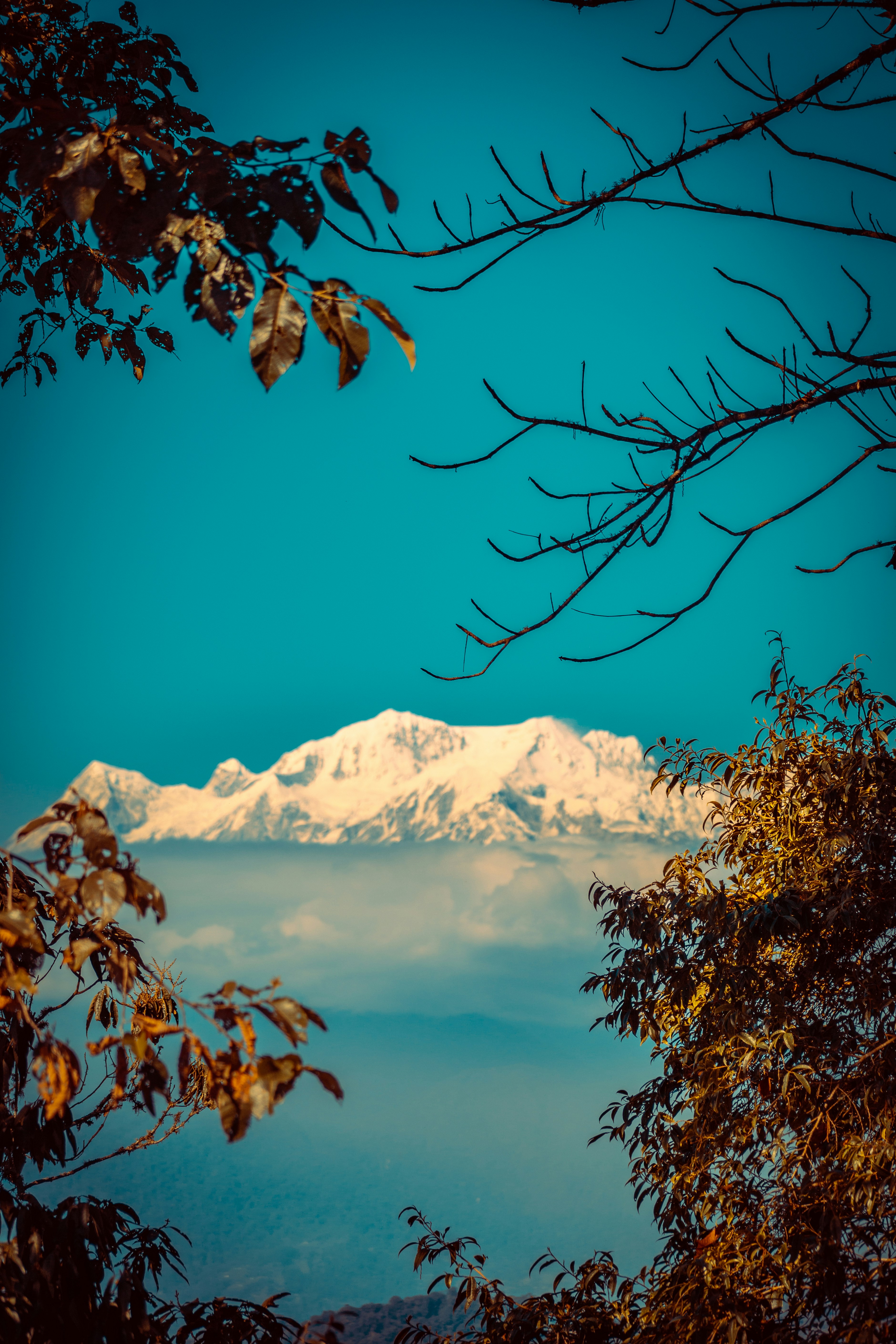 Photo by itsmanoharmanu