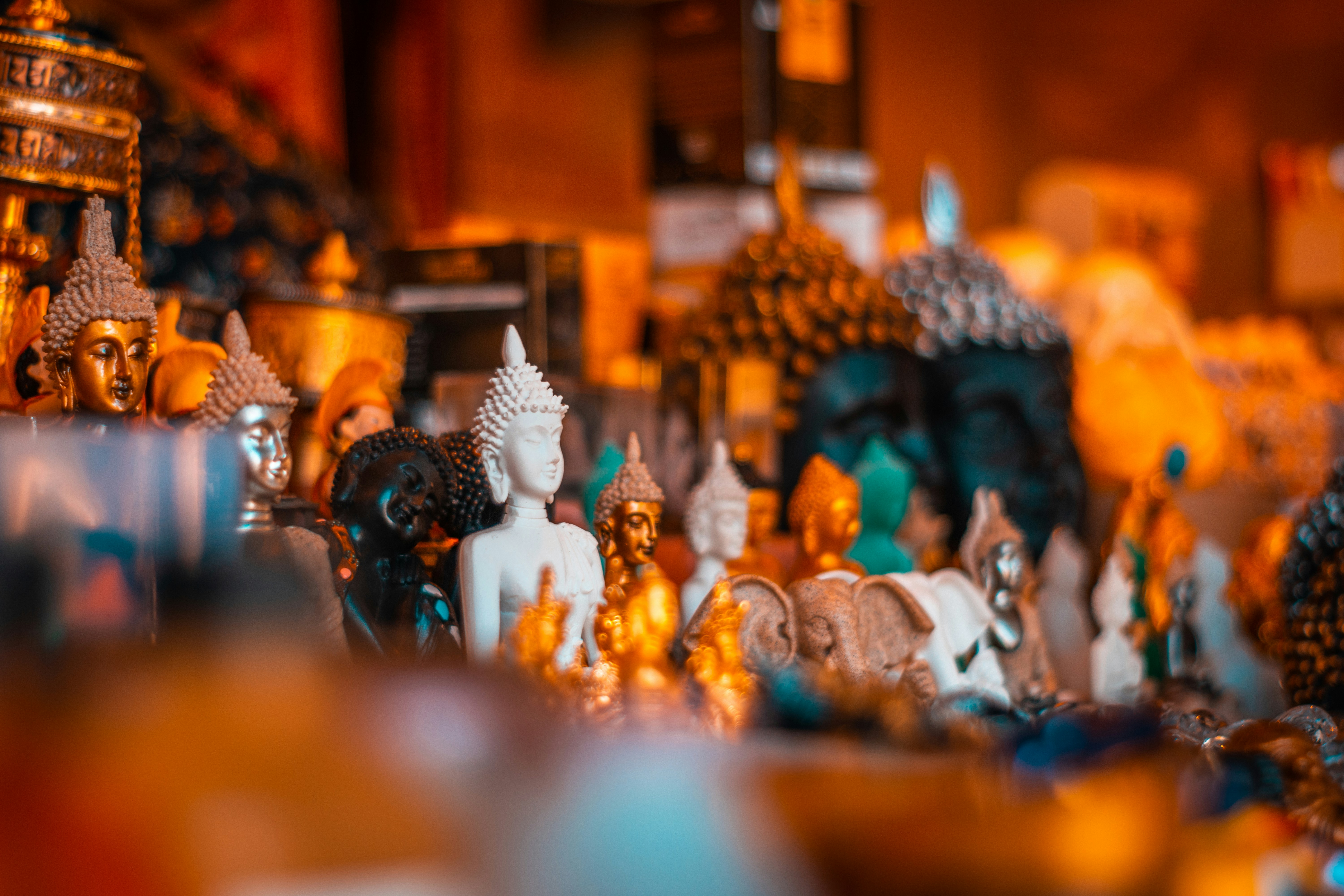 Photo by itsmanoharmanu