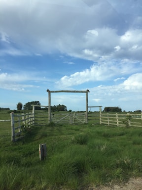 A rustic farm gate opening to a pasture with grazing cattle under a clear blue sky.