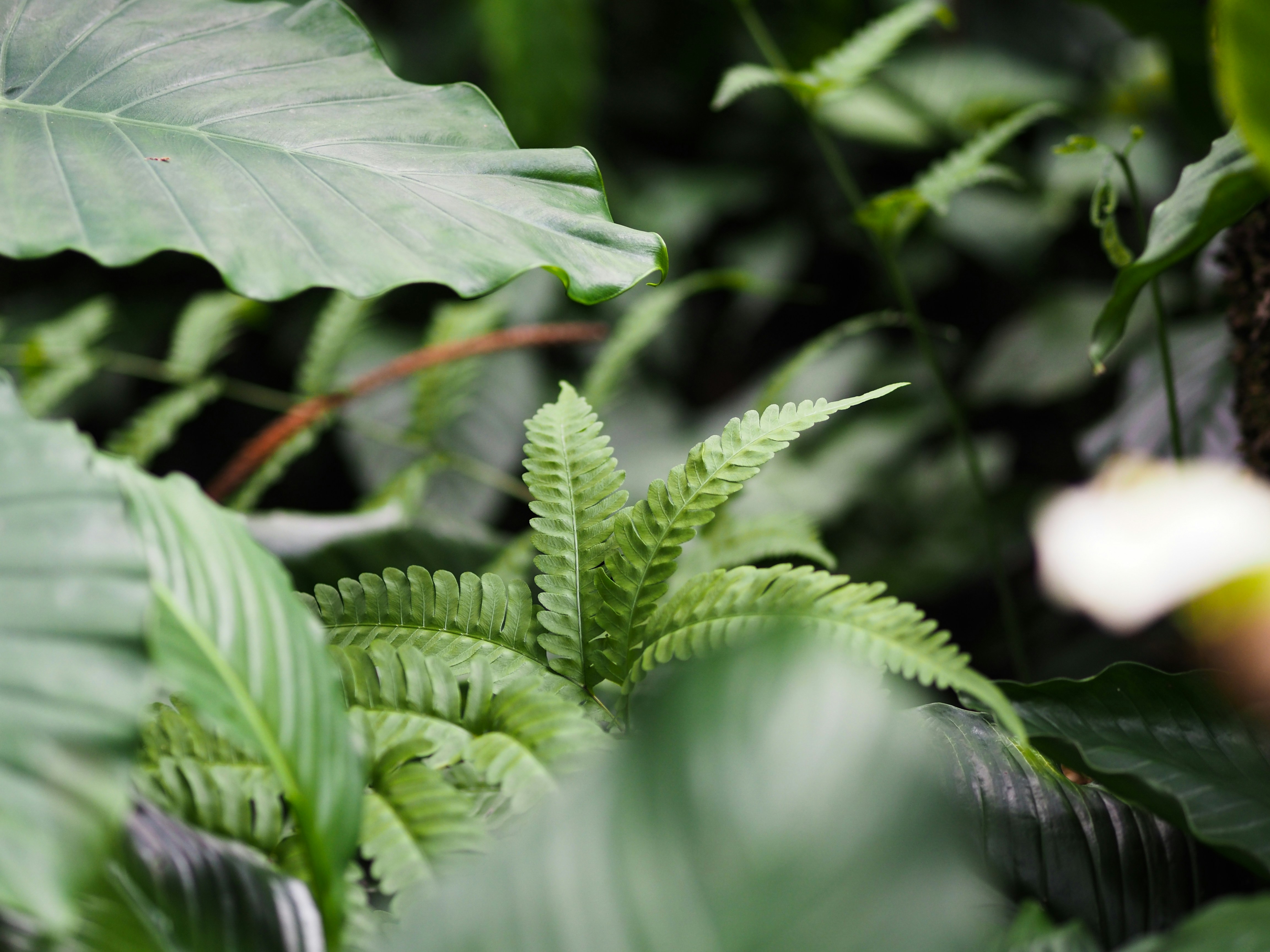 Photo by tillsunrise