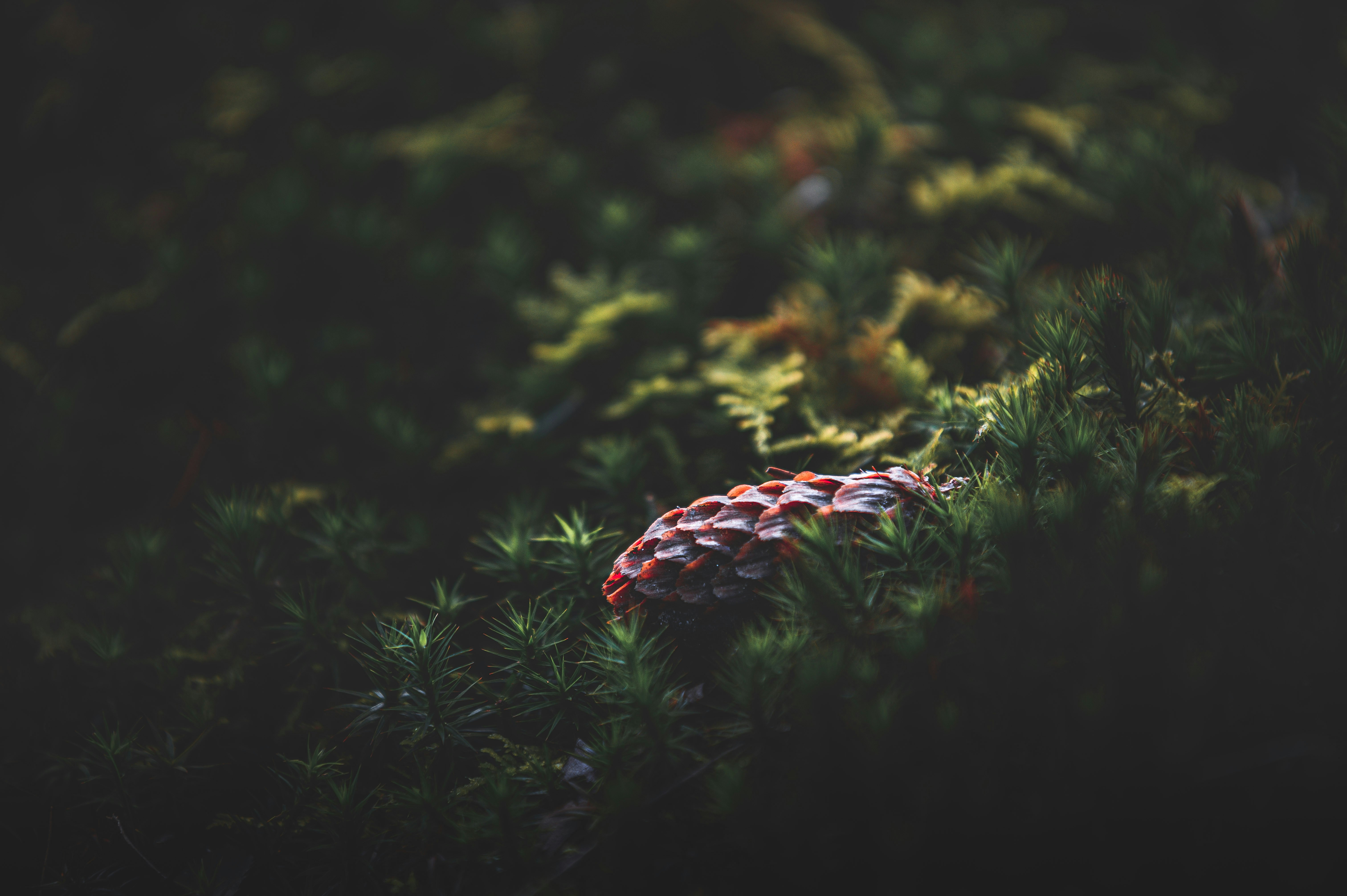 Photo by lachlangowen