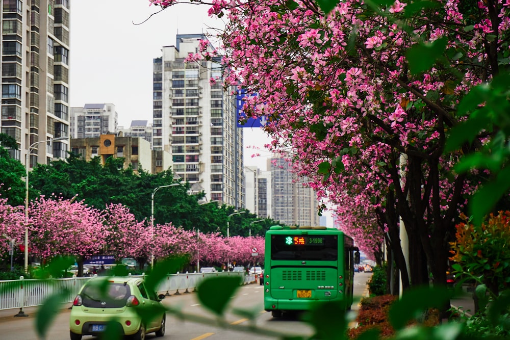 green bus on road near high rise buildings during daytime