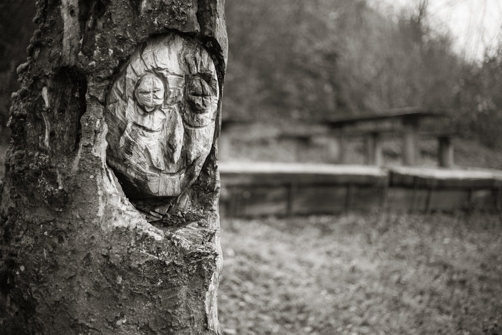 grayscale photo of mans face carved on tree trunk