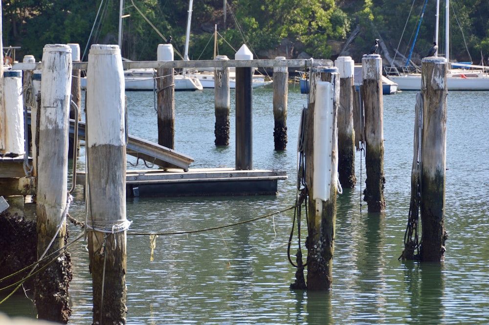 brown wooden poles on body of water during daytime