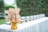 A decorative display featuring intricately woven containers with ribbons on top, placed on a golden stand. These containers are aligned in front of a row of silver bowls on a white table, set outdoors against a blurred green background.