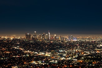 city skyline during night time