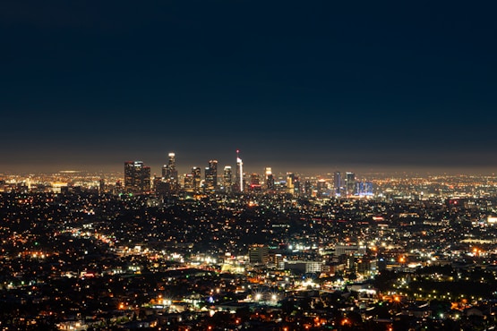 city skyline during night time