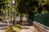 green trees beside concrete pathway