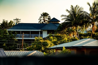 A tropical setting featuring a two-story house with a dark roof surrounded by lush greenery and palm trees. The scene is bathed in warm, golden light, possibly during sunset or sunrise, creating a serene and picturesque atmosphere. Power lines are visible in the foreground, adding a hint of urban elements to the otherwise natural landscape.
