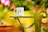 A white coffee mug featuring the logo 'HD Media' is placed on a green outdoor table, surrounded by vibrant and blurred pink and green foliage.