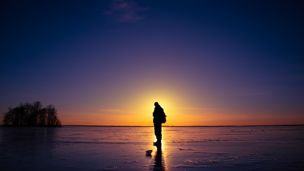 silhouette of person standing on beach during sunset