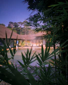 Sunset view over a serene fish pond surrounded by lush greenery and modern equipment.
