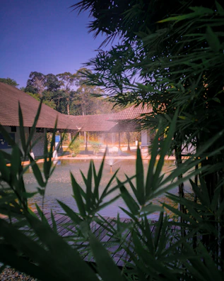 Sunset view over a serene fish pond surrounded by lush greenery and modern equipment.