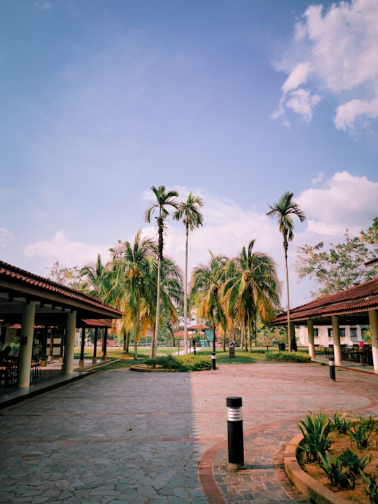 palm trees near brown wooden house under blue sky during daytime in Perak Malaysia