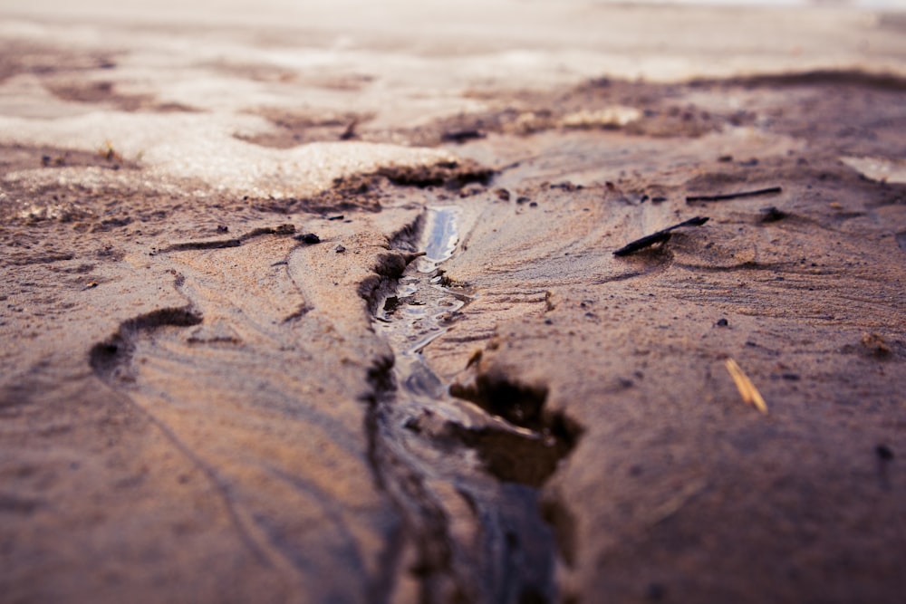 brown sand with footprints during daytime