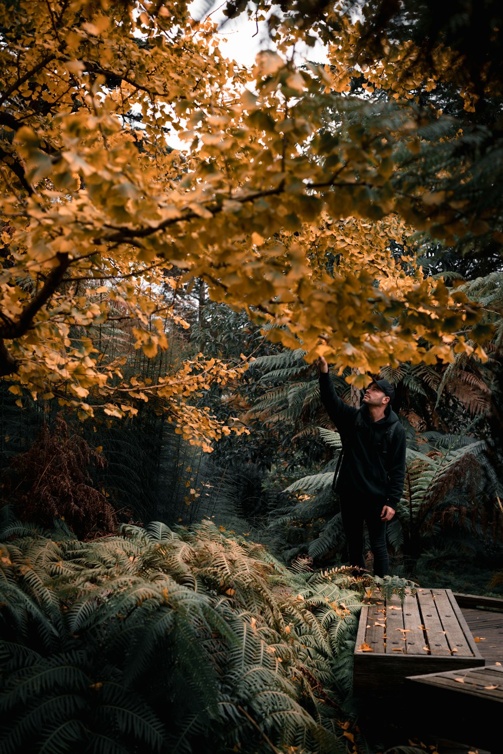 woman in black jacket and black hijab standing on brown dried leaves during daytime