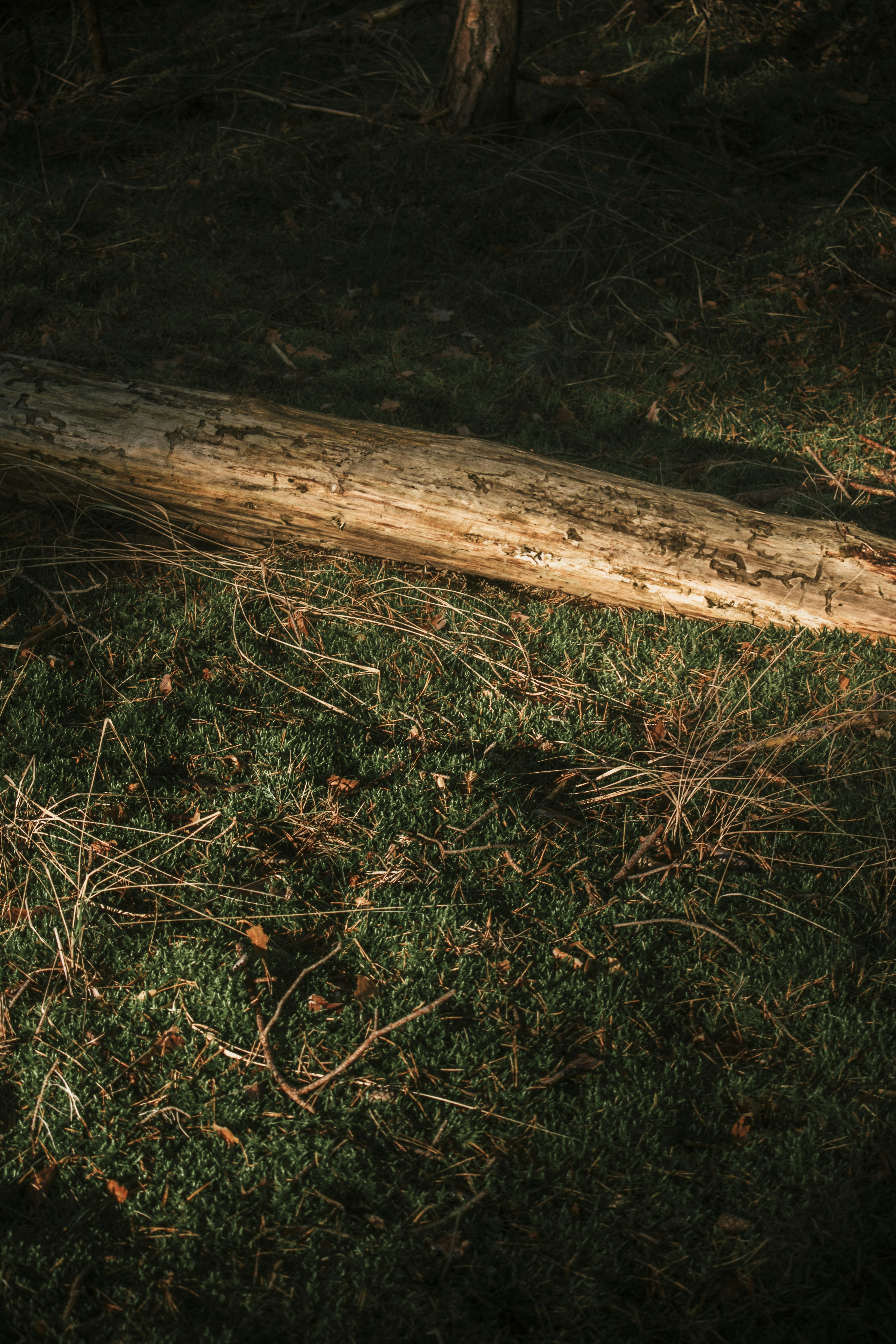 Photo by aurelienthms