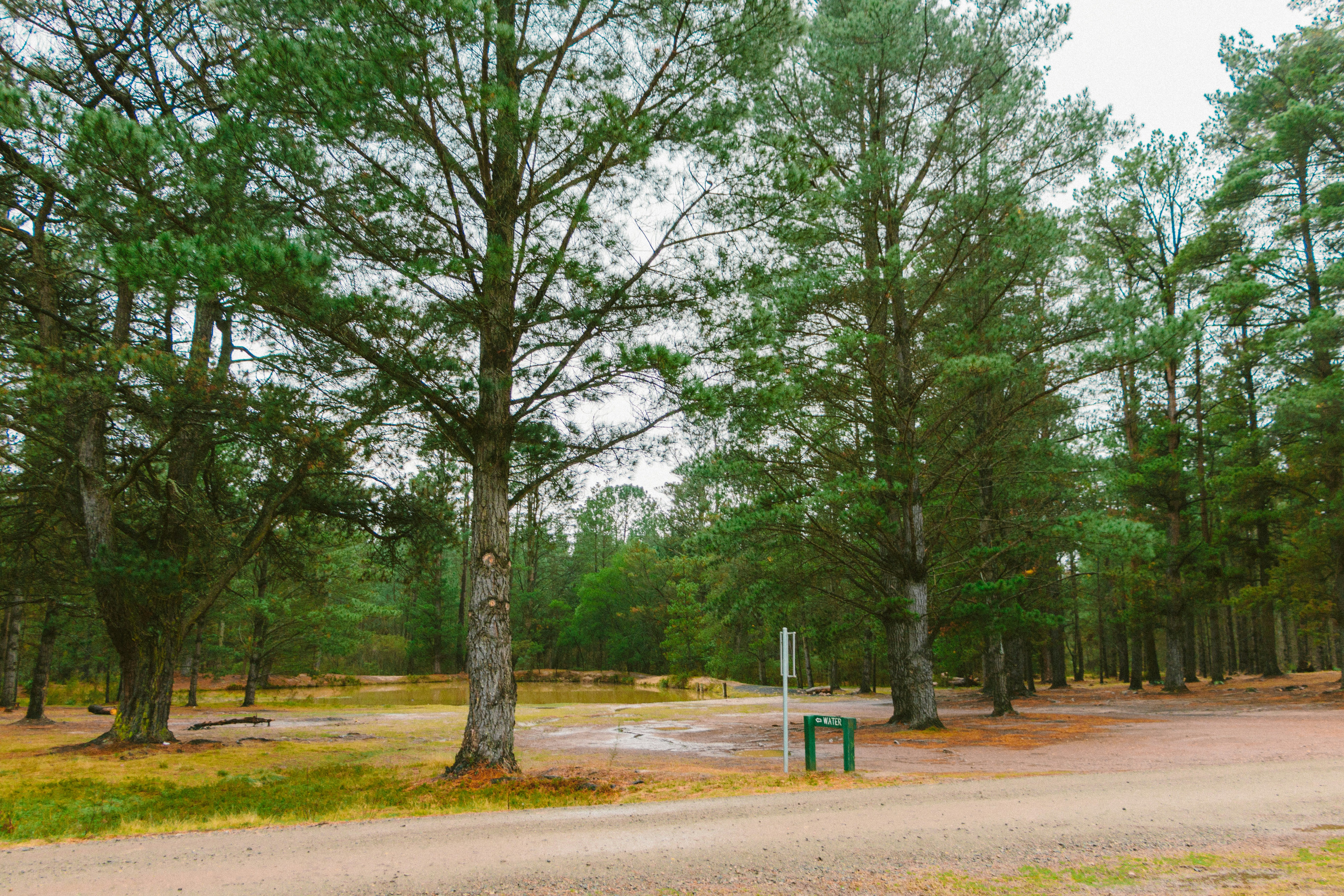 Pine Ridge County Park