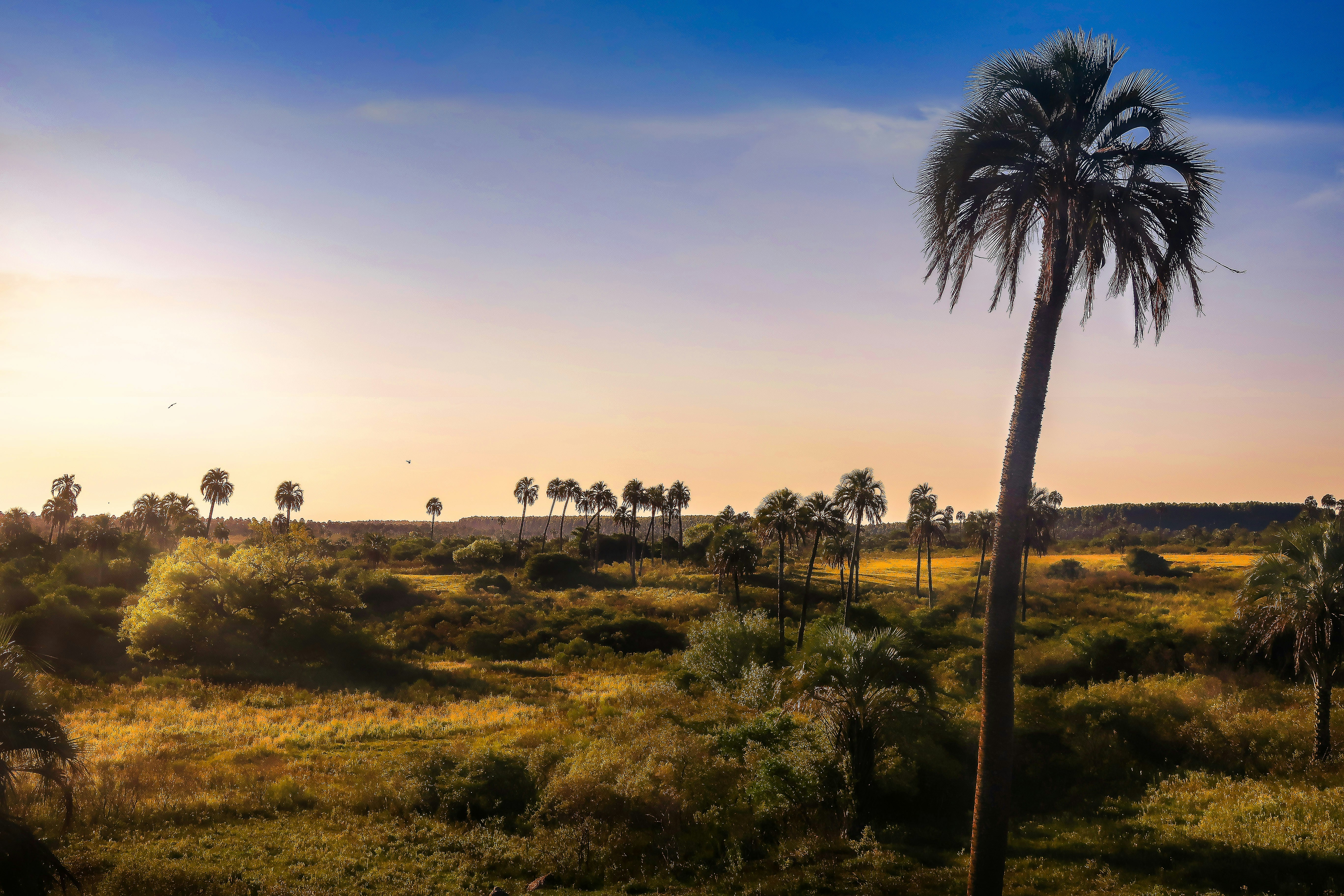 Photo by argentinanatural