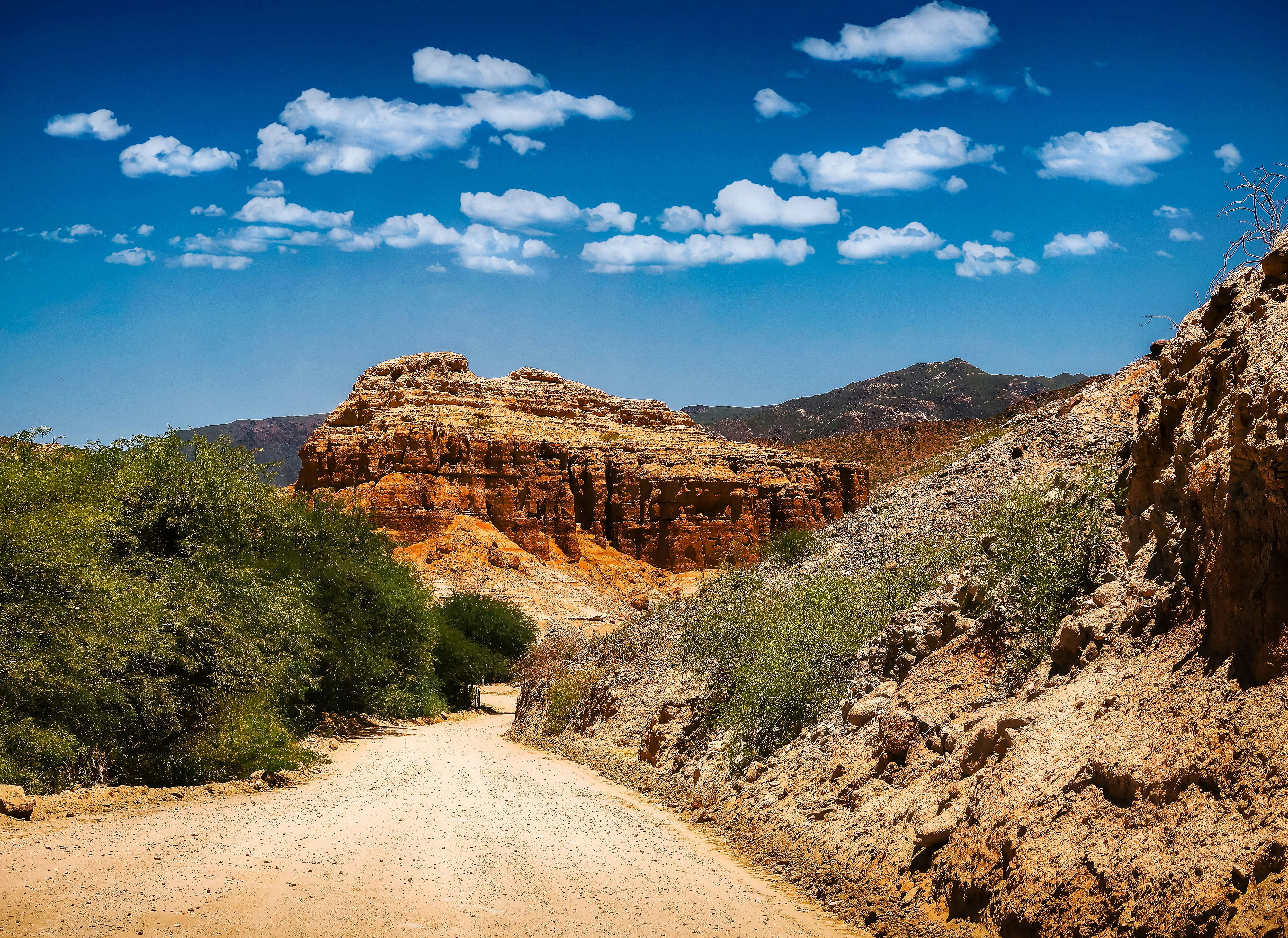 Photo by argentinanatural